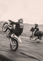 Throttle and Hoofbeats